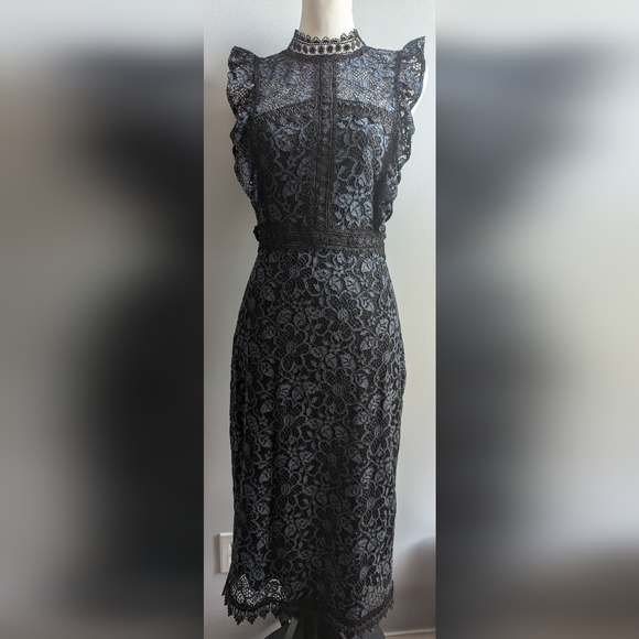 EUC...Beautiful Zara Guipure Lace Dress (with whimsy/goth vibes)  Size Small - Picture 2 of 13